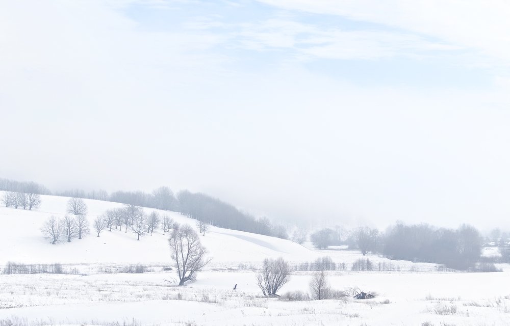 Морозный туман