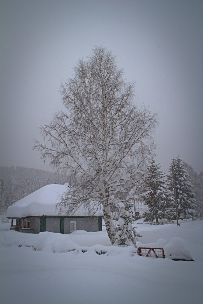 Photograph by Екатерина