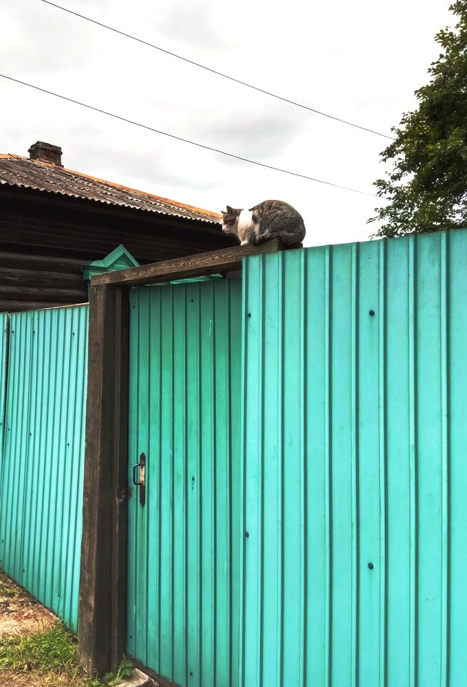 В ожидании гостей