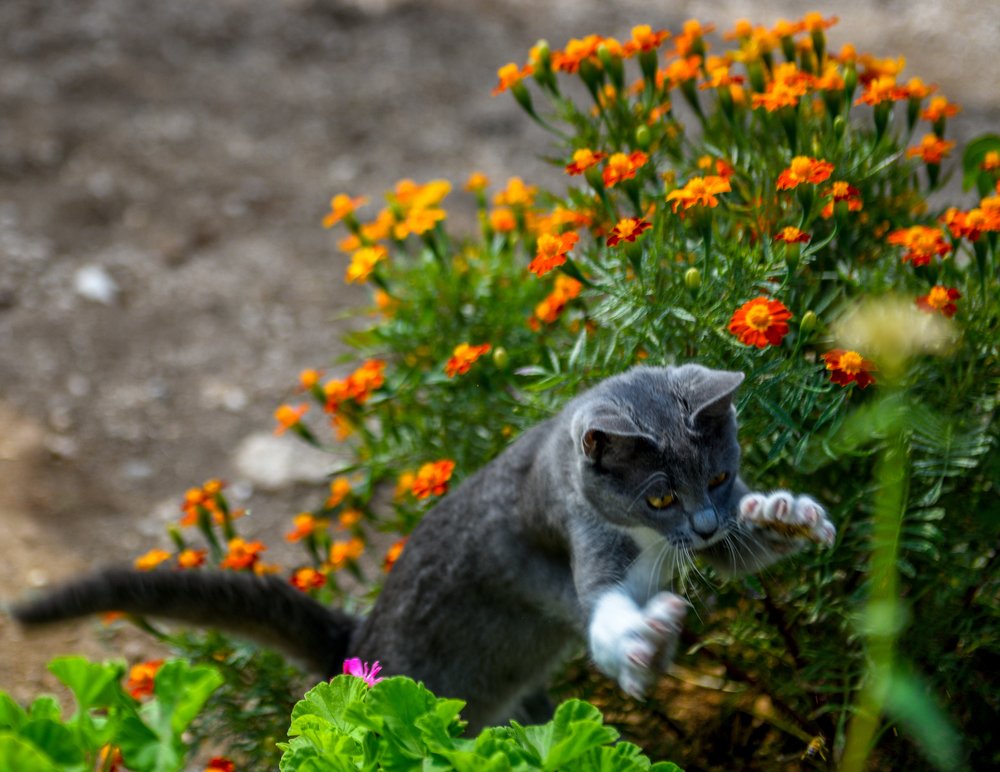 Photograph by Антон Шаркас