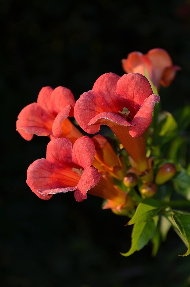 Photograph by Татьяна