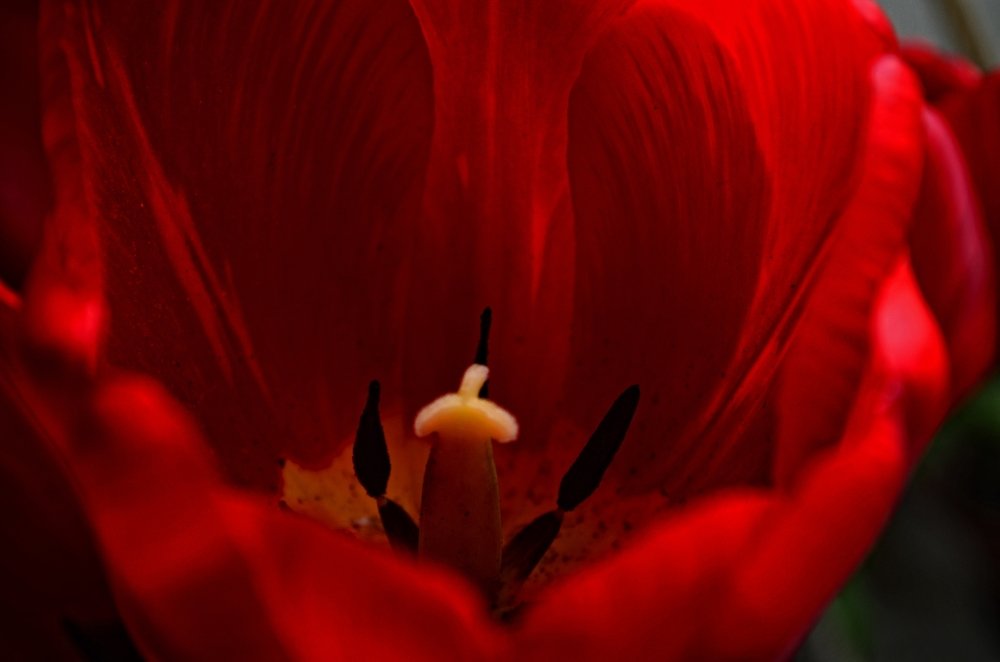 Photograph by Татьяна