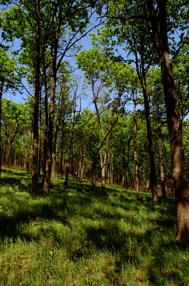 Photograph by Татьяна