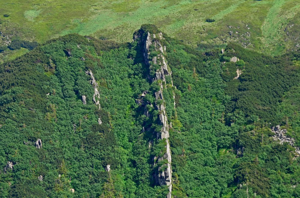 Photograph by Татьяна