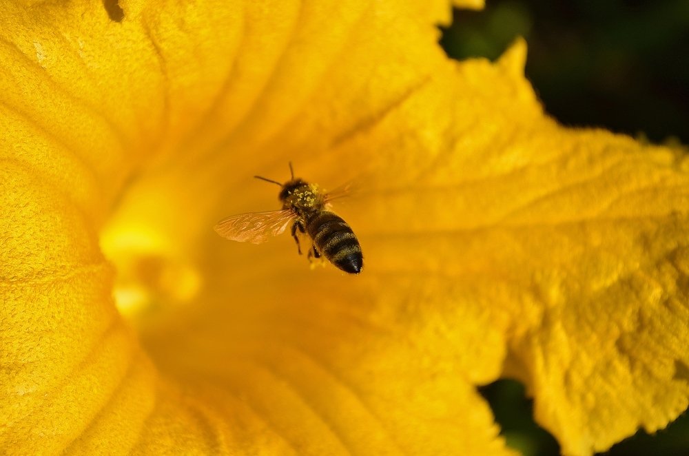 Photograph by Татьяна