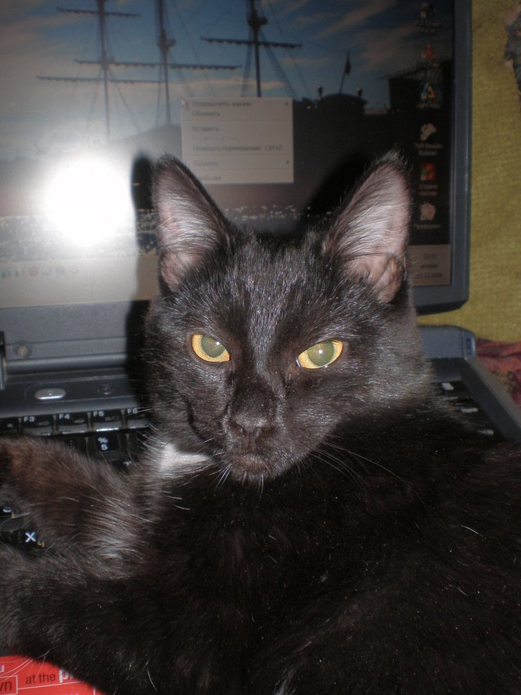 Photograph by Алия Байсыкова