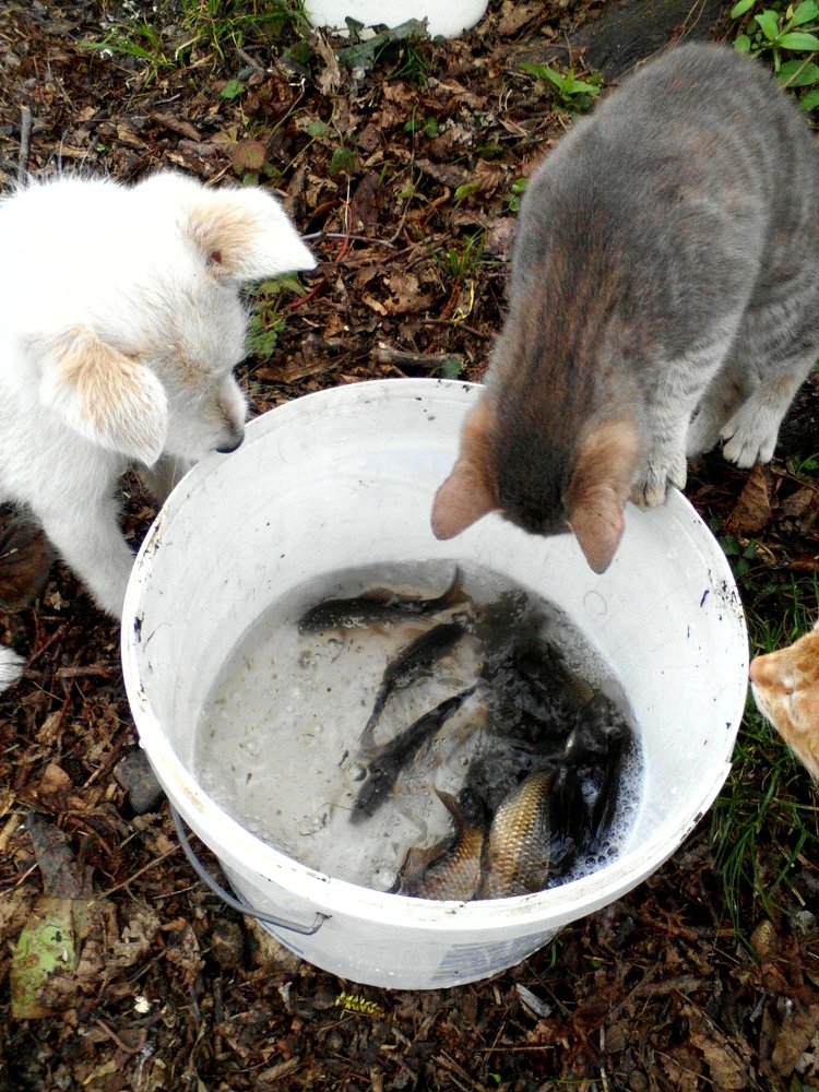 Photograph by Николай Немчанинов