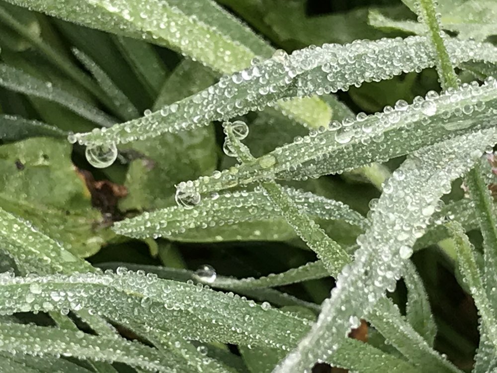 Photograph by Anca Hultoana