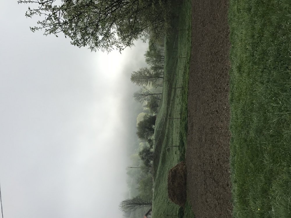 Photograph by Anca Hultoana