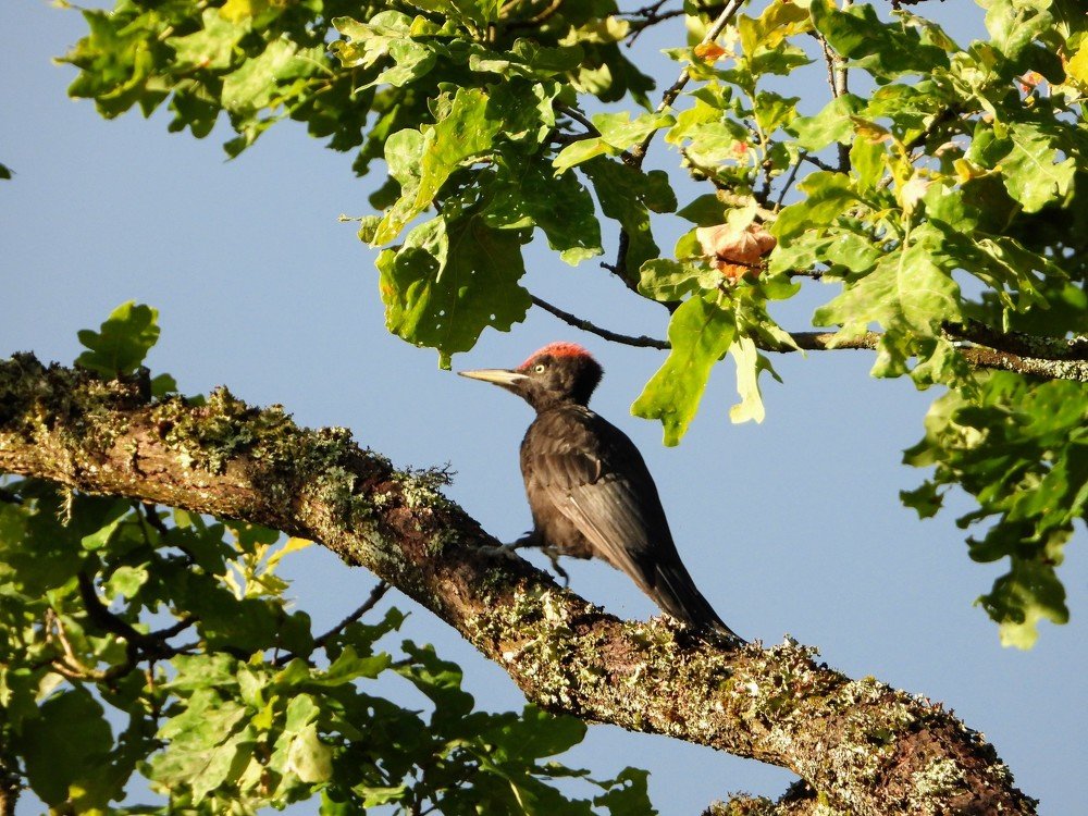 Photograph by ТАТЬЯНА КОНРАДИ