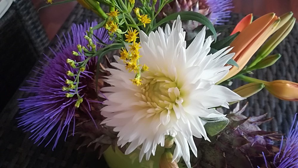 Photograph by Gemelina Opriș