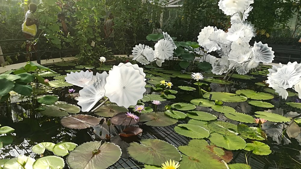 Photograph by Gemelina Opriș