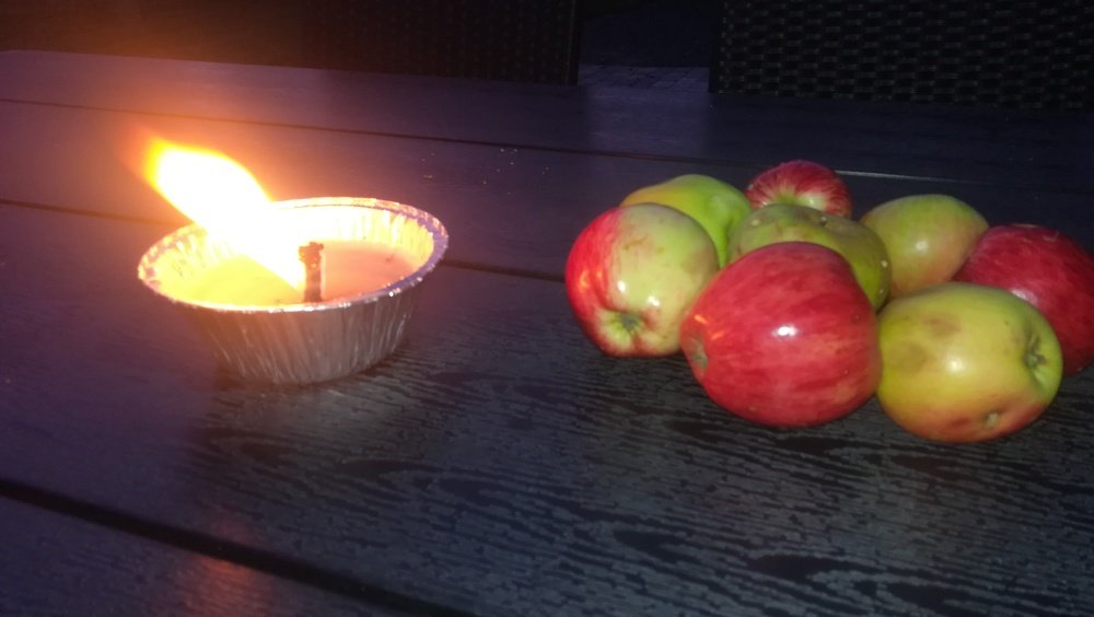 Photograph by Gemelina Opriș