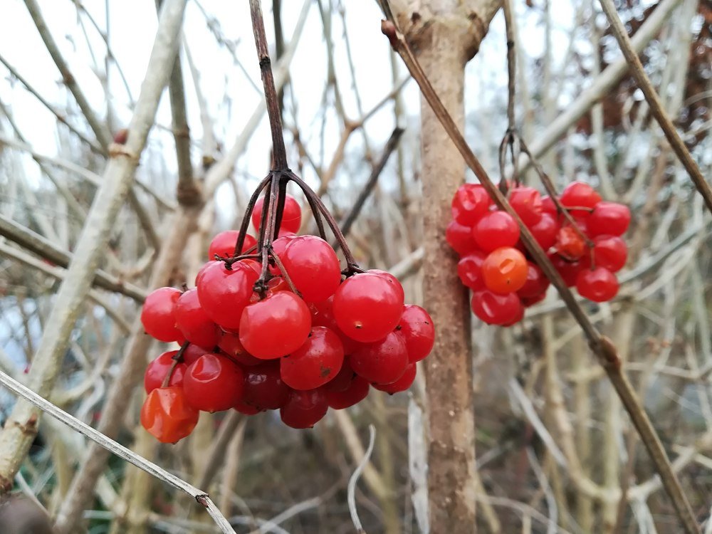 Photograph by Gemelina Opriș