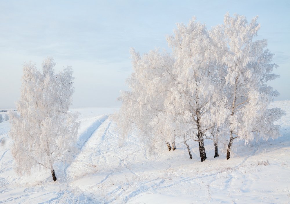 Photograph by Николай В.М.
