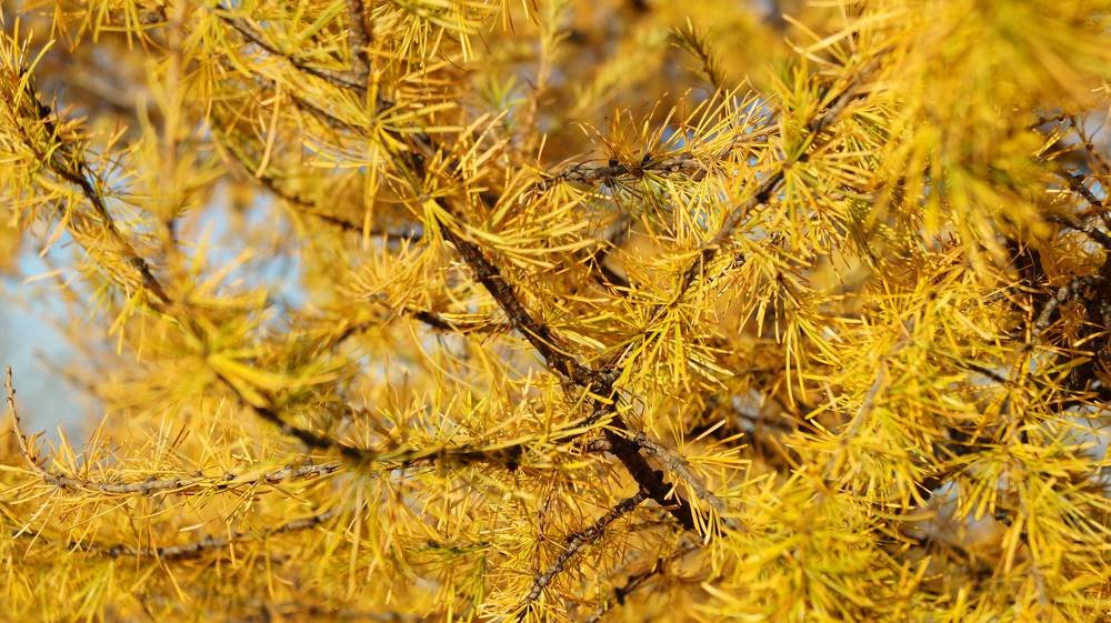 Photograph by Иван Кирилков