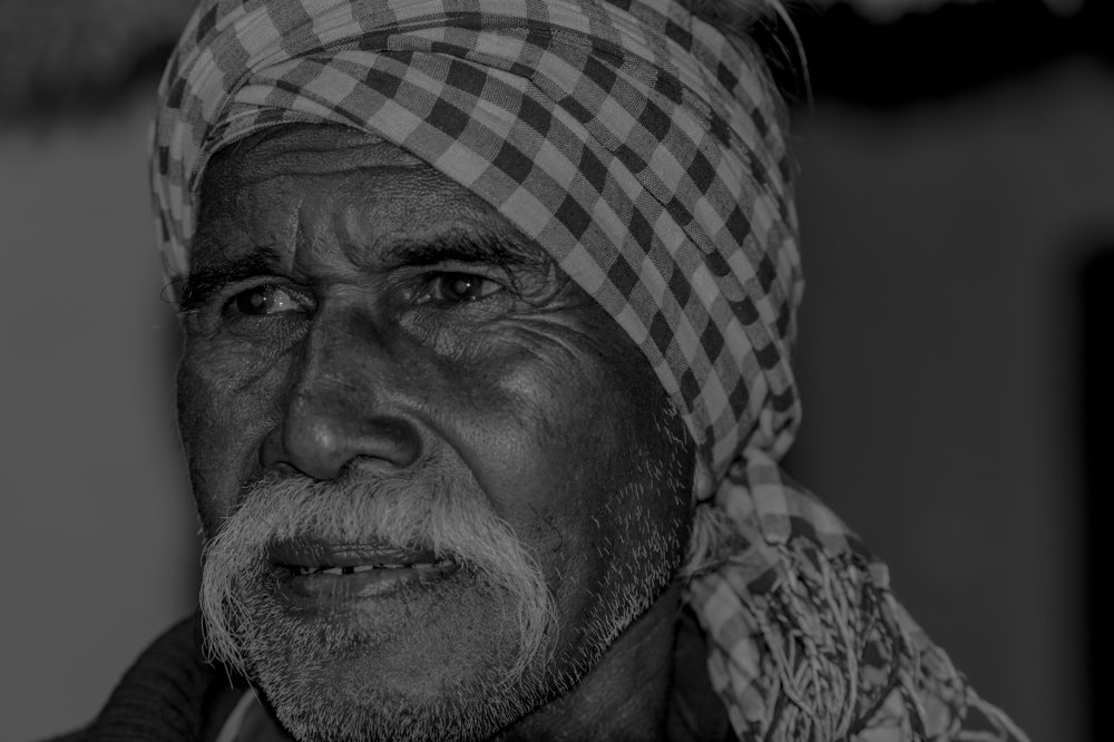 Фотография автора Hamid Hamid