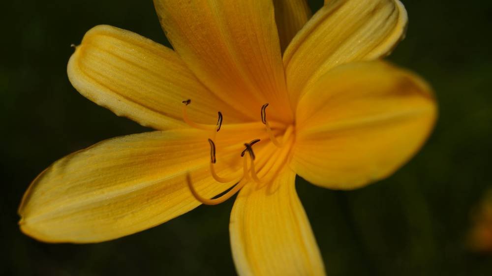 Photograph by Иван Кирилков