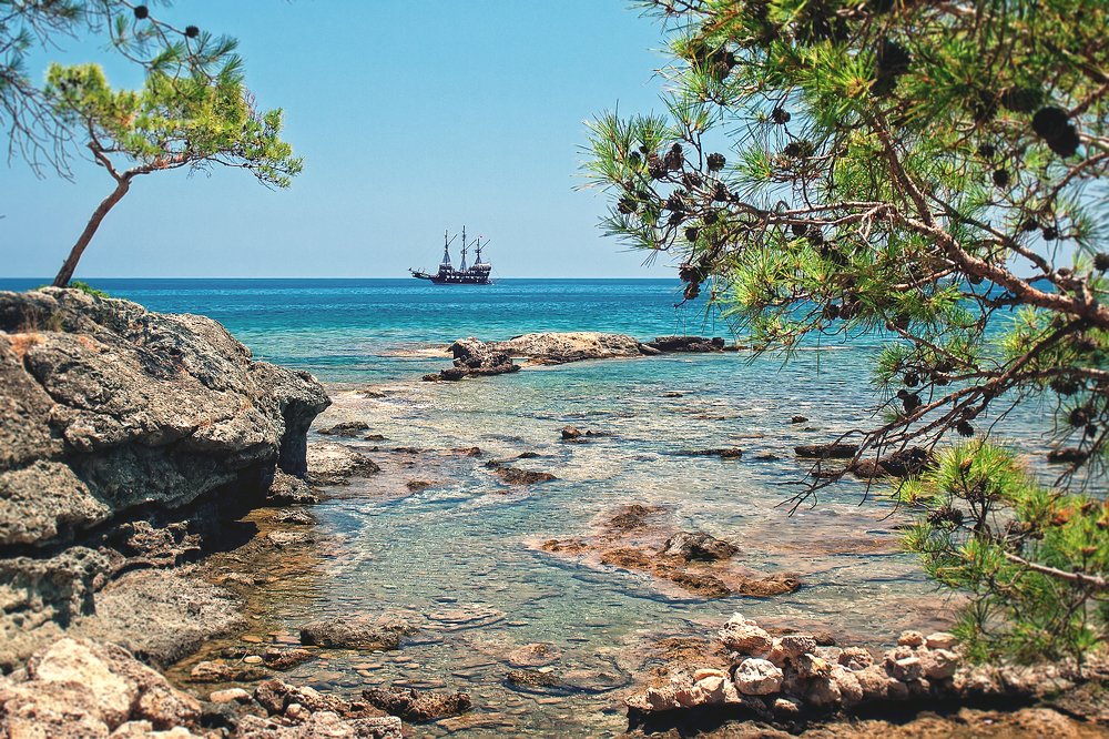 Черная Жемчужина