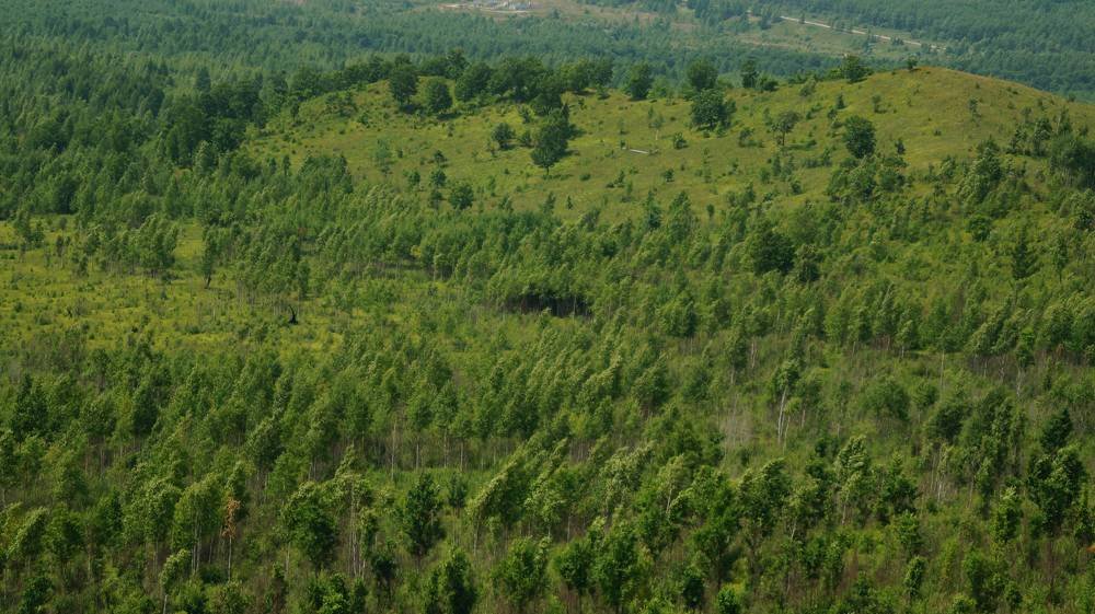 Photograph by Иван Кирилков