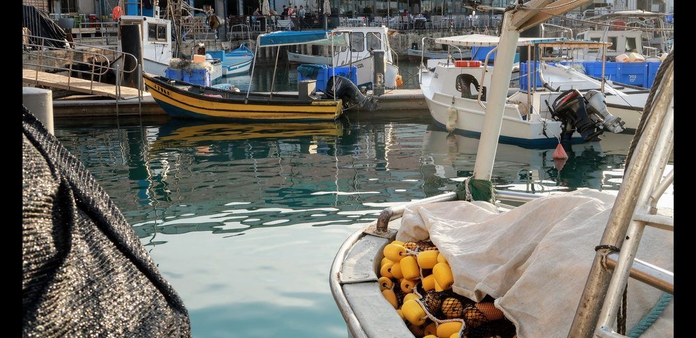 Photograph by Nikolay Hovich