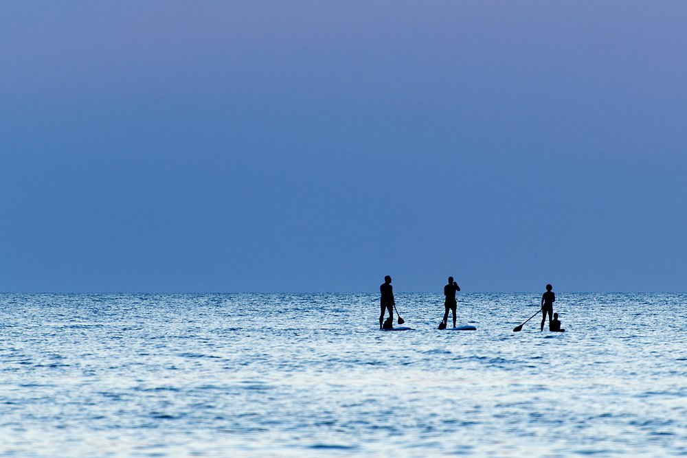 Гуляющие по воде