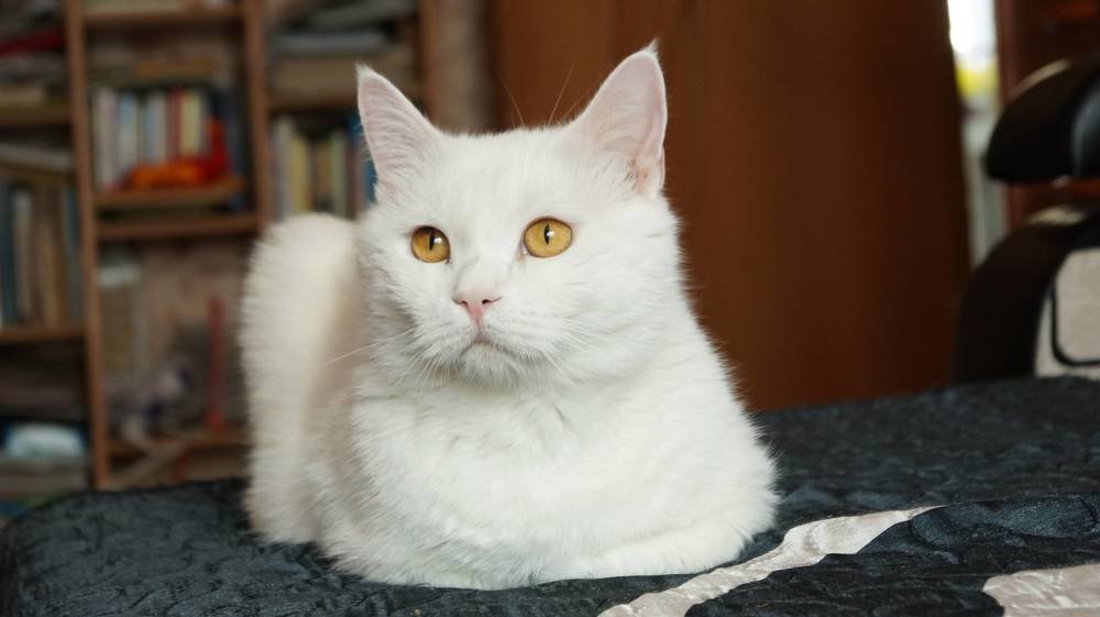 Photograph by Иван Кирилков