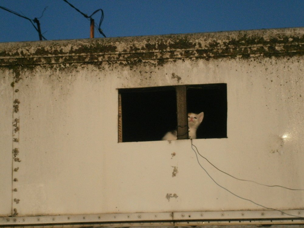 Фотография автора Сергей Зиньковский