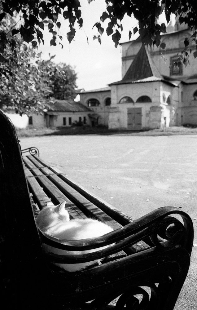 Photograph by Владимир Пальчик