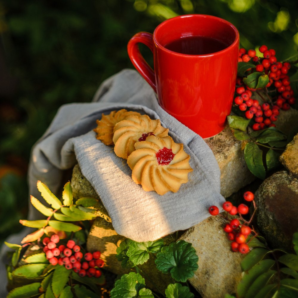 Photograph by Екатерина Катерина