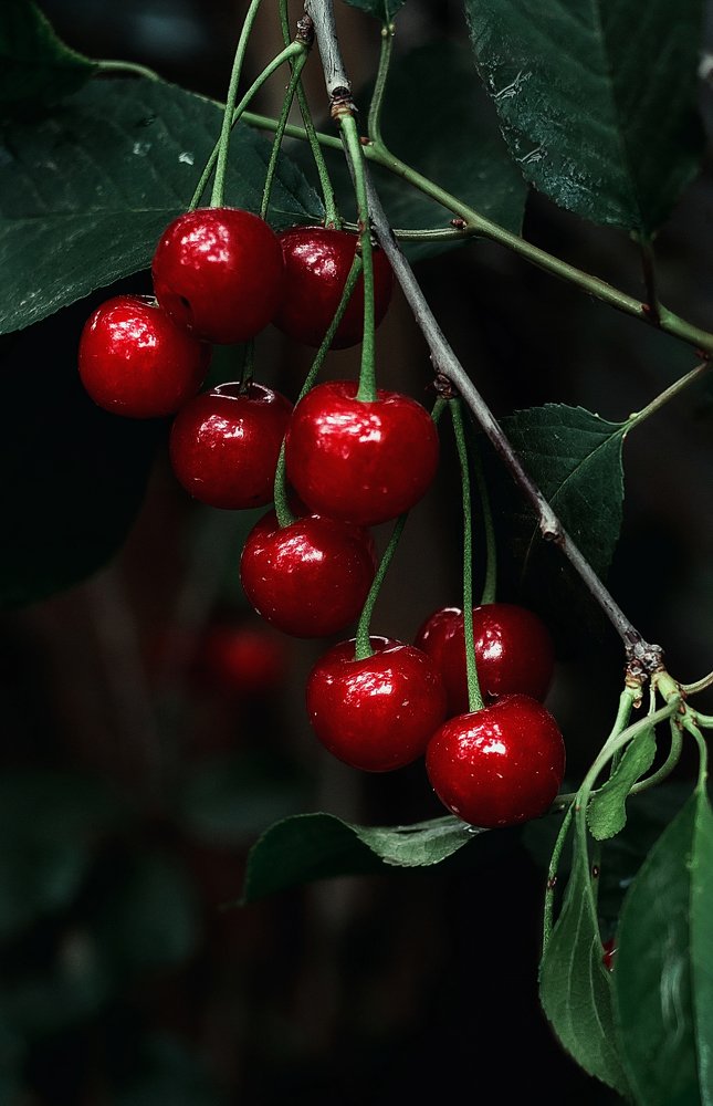 Photograph by Полина Хрол