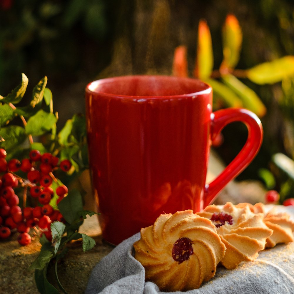 Photograph by Екатерина Катерина