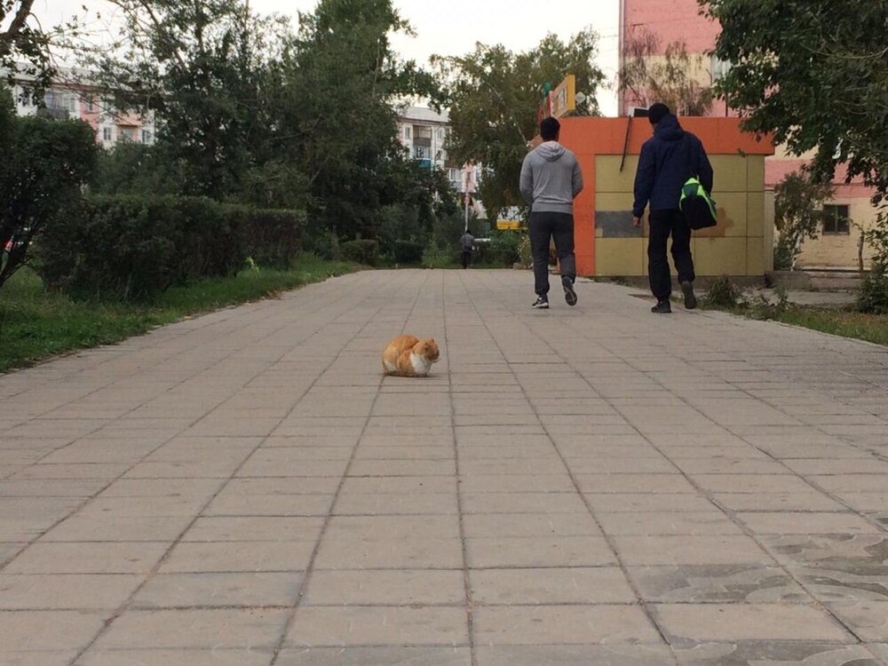 Photograph by Сергей