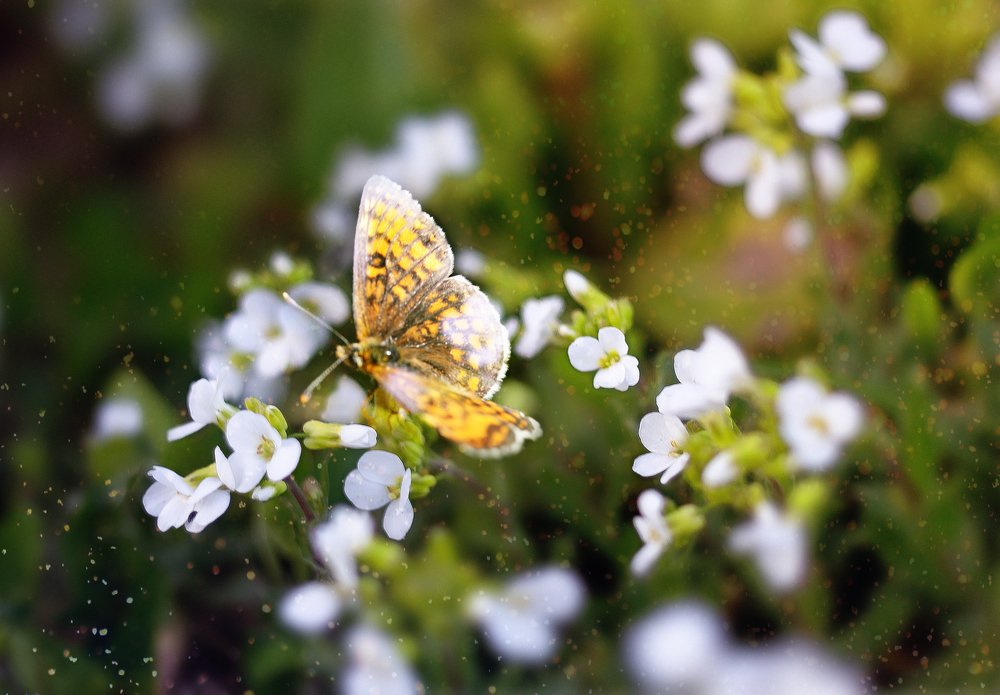 Photograph by Полина Хрол