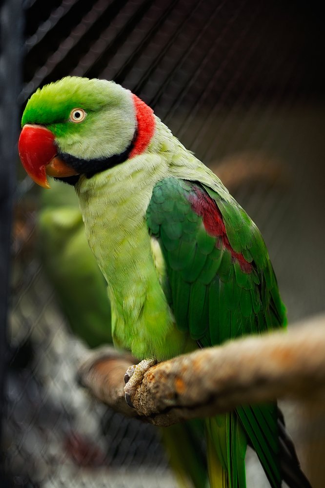 Photograph by Полина Хрол