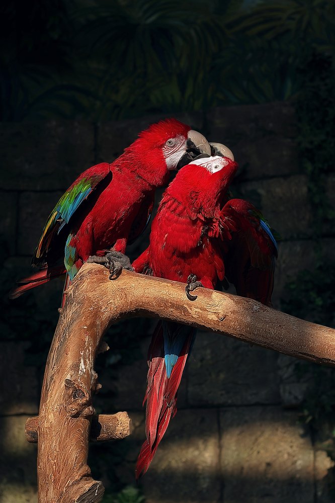 Photograph by Полина Хрол