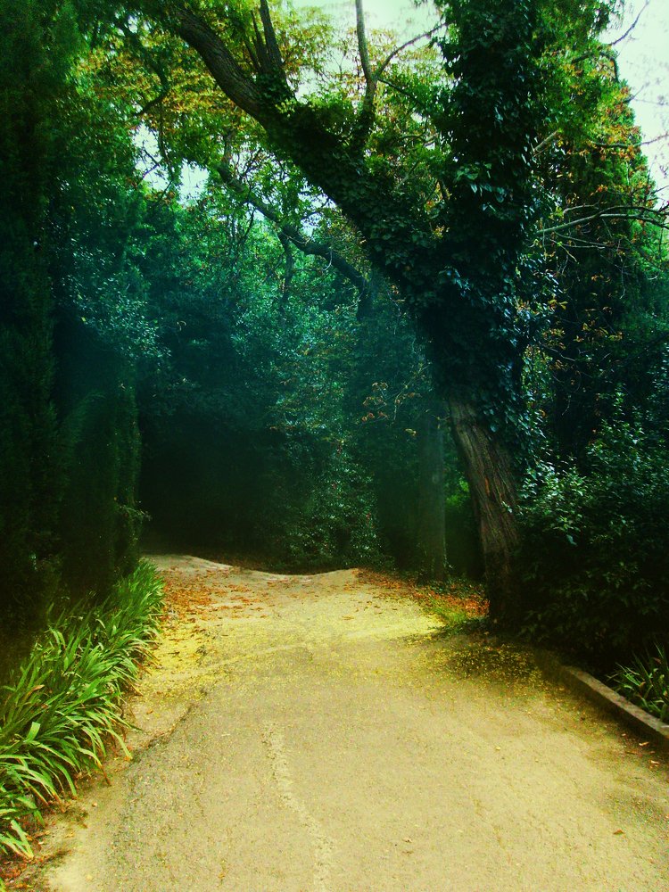 Photograph by Полина Хрол