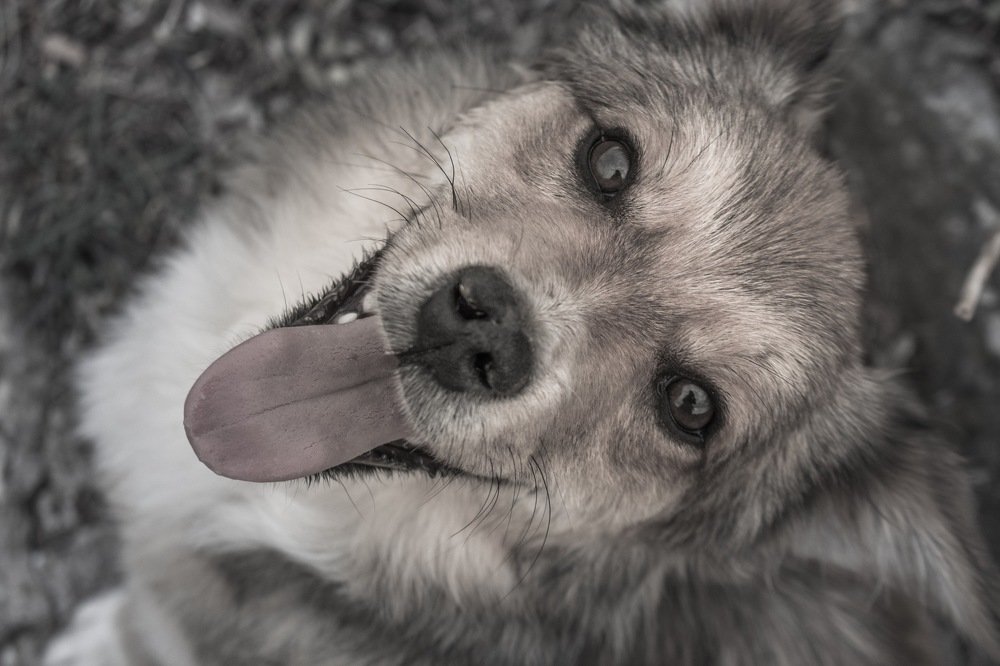 Photograph by Ivana Bozinovic