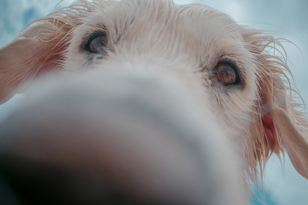 Photograph by Ivana Bozinovic