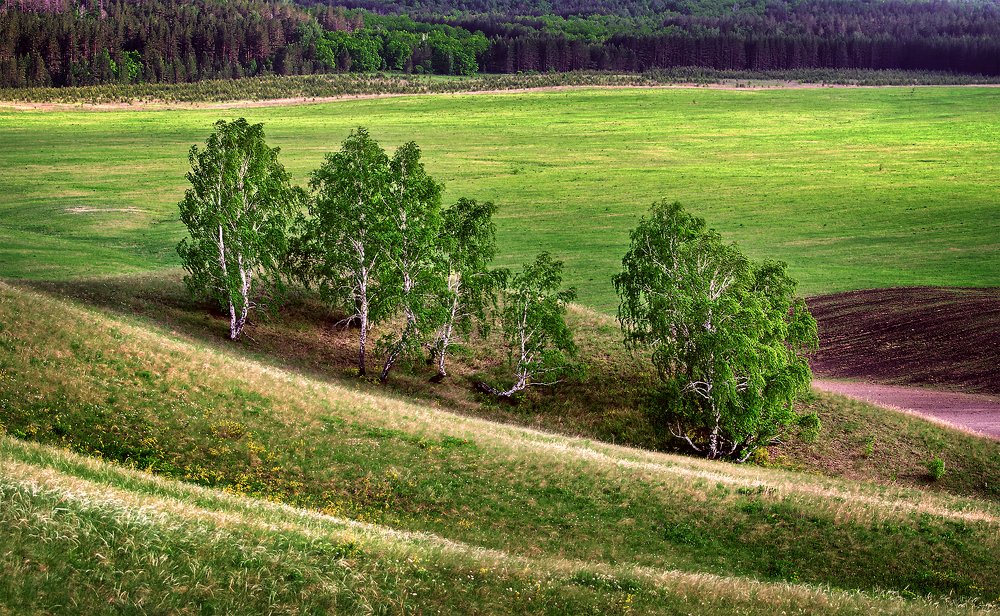 Березовое..