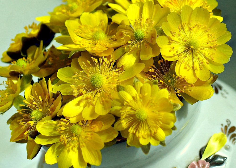 Photograph by Виктор Игнатенко.