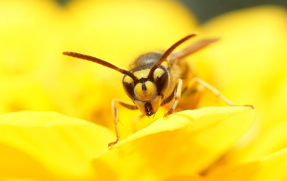 Photograph by Виктор Игнатенко.