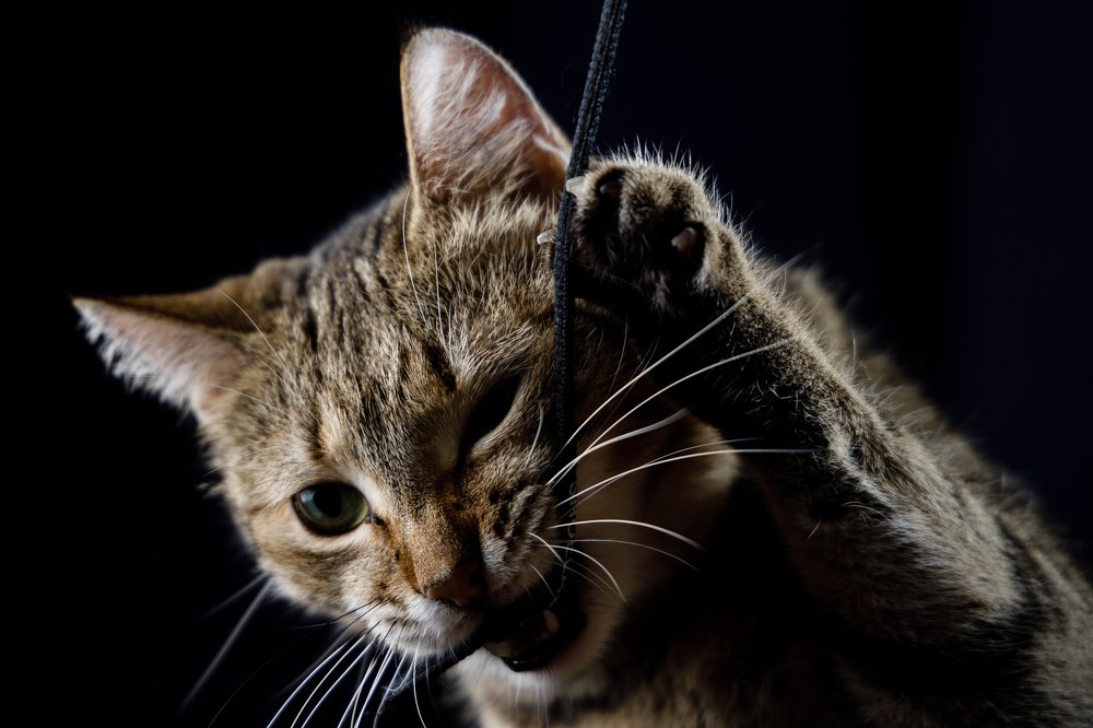 Photograph by Alexey