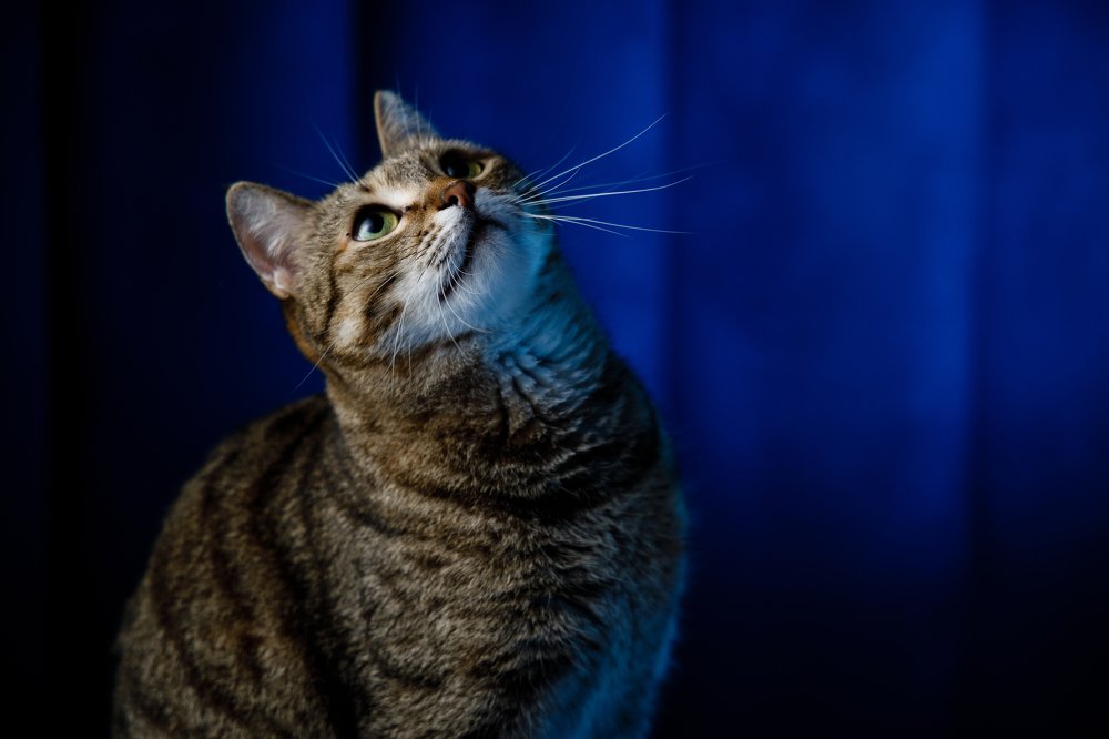 Photograph by Alexey