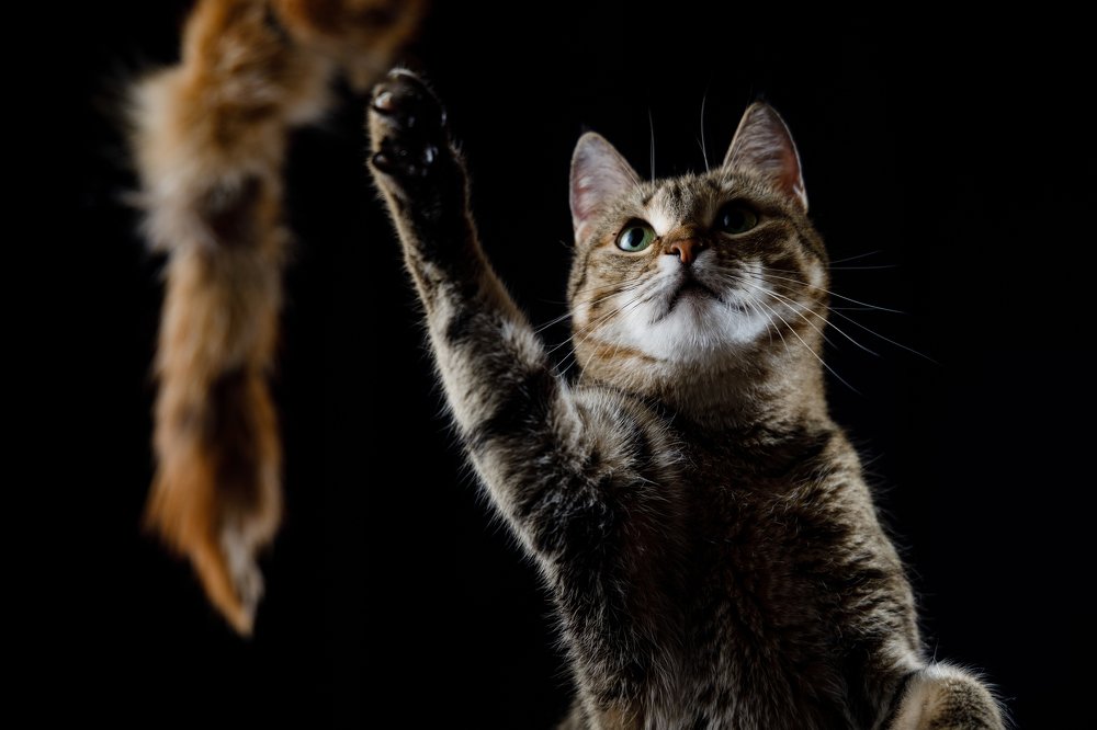 Photograph by Alexey