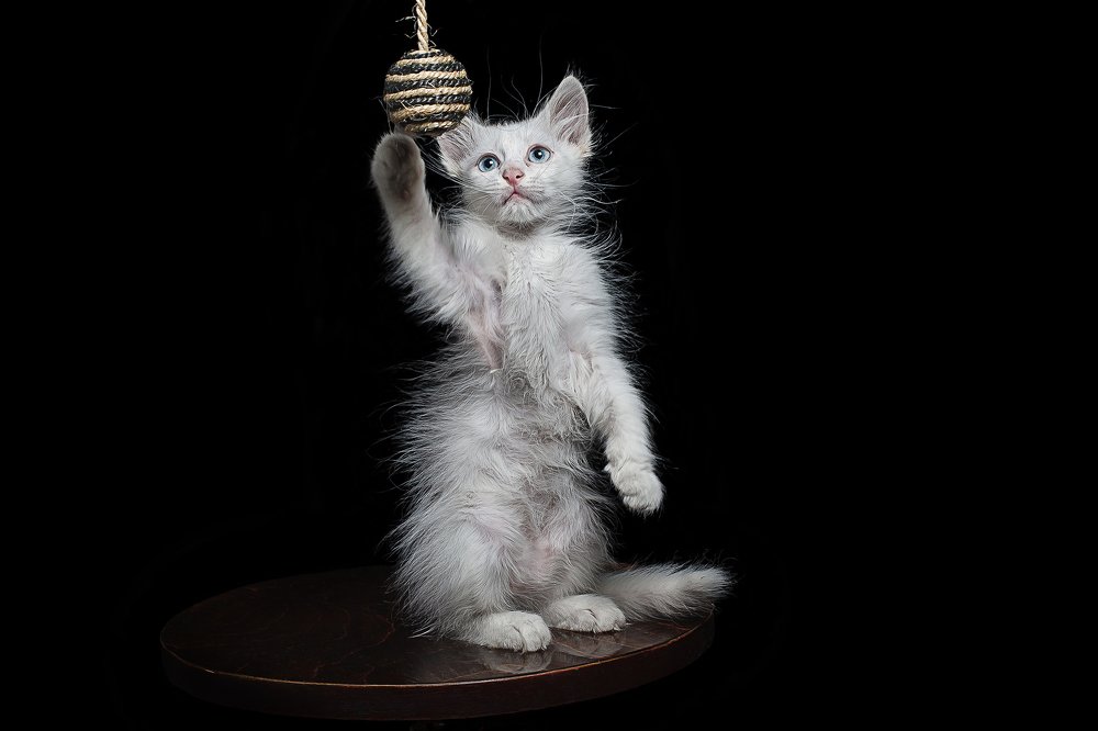 Photograph by Руслан Булгаков