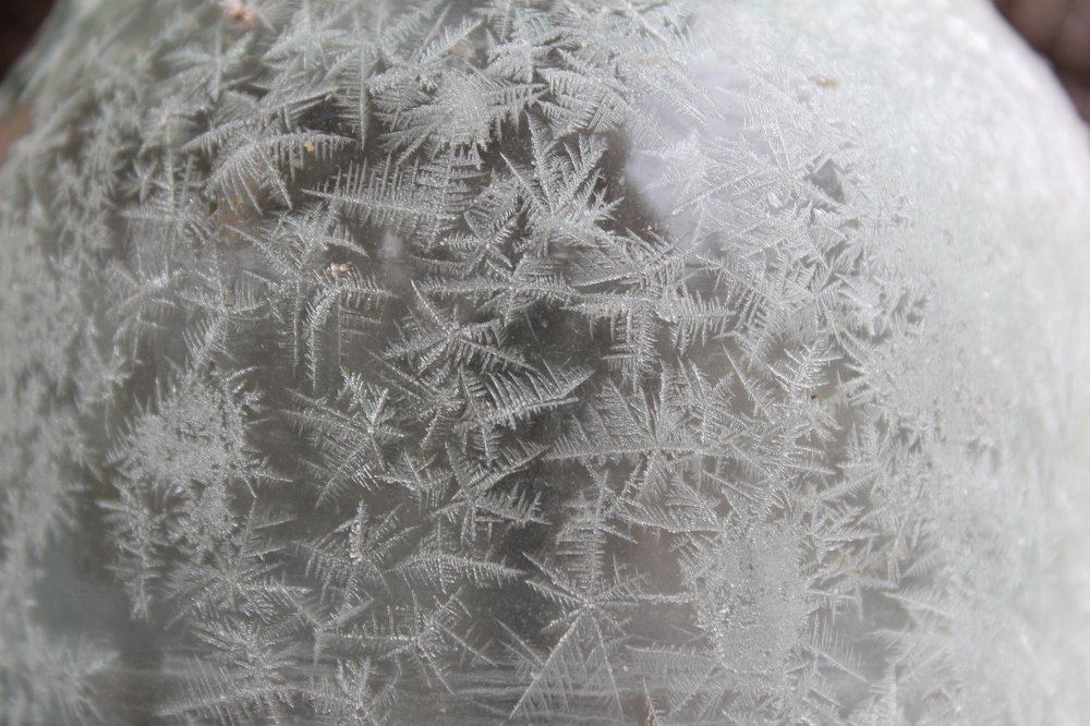 Photograph by Леся Дмітрук