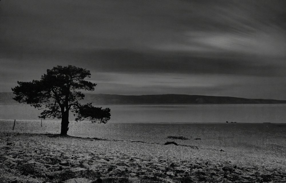 Photograph by Антон Реенко