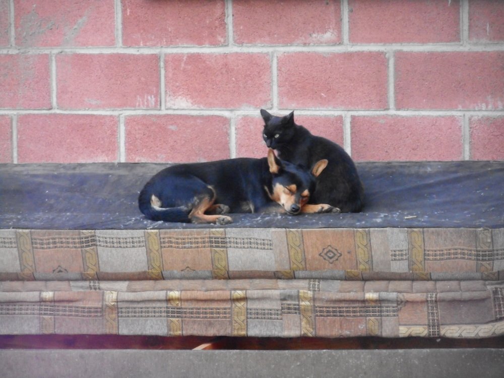 Photograph by Светлана Хоботова