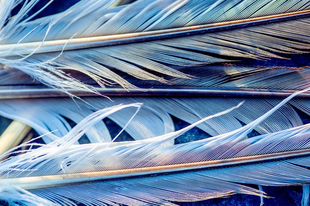 Золото на голубом